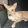 Chispi wurde einfach aussortiert.....