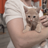 BOBBIE (a trouvé sa famille)