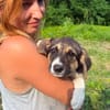YARA