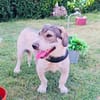 Carlos ein toller Freund an Deiner Seite