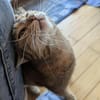 Mia und Olimba wollen zusammen bleiben