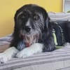 LEONA - auf der Suche nach ihrem Glückskörbchen!
