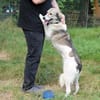 Lou sucht ein liebevolles Zuhause