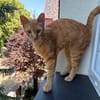 Jamie sucht ein Zuhause