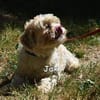JAX