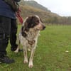 Hingucker Jonte sucht seine Familie