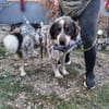 Hingucker Jonte sucht seine Familie