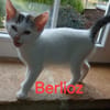BERLIOZ chez Anne
