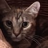 Romy (réservée)