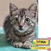 TITINA