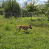 Wera