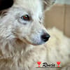 Ronja, voller Sehnsucht nach Liebe