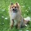 MÄXCHEN bringt Charme und gute Laune mit