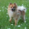MÄXCHEN bringt Charme und gute Laune mit