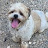 KRÜMEL