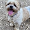 KRÜMEL