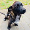 Süßer Vito🌺 sucht liebevolles Heim