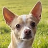 BURRITO sucht ein neues Zuhause