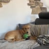 Stella - mit Video