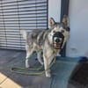 Ayla - VERZWEIFELTER HILFERUF!
