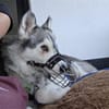 Ayla - VERZWEIFELTER HILFERUF!