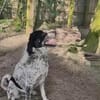Luke - schätzt klare Strukturen und vertrauensvolle Bezieh.