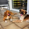 Milky - Zuhause gesucht