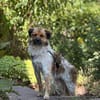 Milky - Zuhause gesucht
