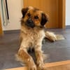 Milky - Zuhause gesucht