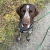 sportlicher, lieber MIKA