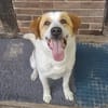 Sarp - sportliche Menschen mit Erfahrung gesucht!