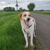 Sarp - sportliche Menschen mit Erfahrung gesucht!