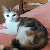EZGI
