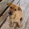 Baby KYRA