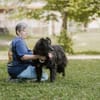 Kuschelfan Odi sucht ein Zuhause