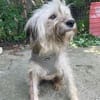 Für immer Zuhause gesucht