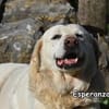 ESPERANZA