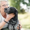 Renée  sensibler Deutsch Kurzhaar sucht ein  Zuhause