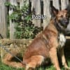 PAPLO
