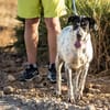 Traumhund Atenea auch mit Kindern PS D