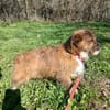 Matilda: kleiner Sonnenschein sucht DICH