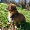 Matilda: kleiner Sonnenschein sucht DICH