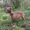 Matilda: kleiner Sonnenschein sucht DICH