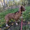 Matilda: kleiner Sonnenschein sucht DICH