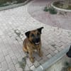 Luiso