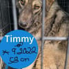 Der schüchterne Timmy sucht sein Glück!