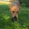 Tilda sucht Kuschelkörbchen