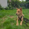 Tilda sucht Kuschelkörbchen