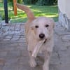 Angel ist bereit für sein Happy End  vielleicht bei dir?