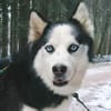 FELIX 2 ist freundlich und liebevoll